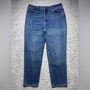 Vervet Jeans Womens 31 High Rise Button Fly Regular Wash Stretch Casual Classic